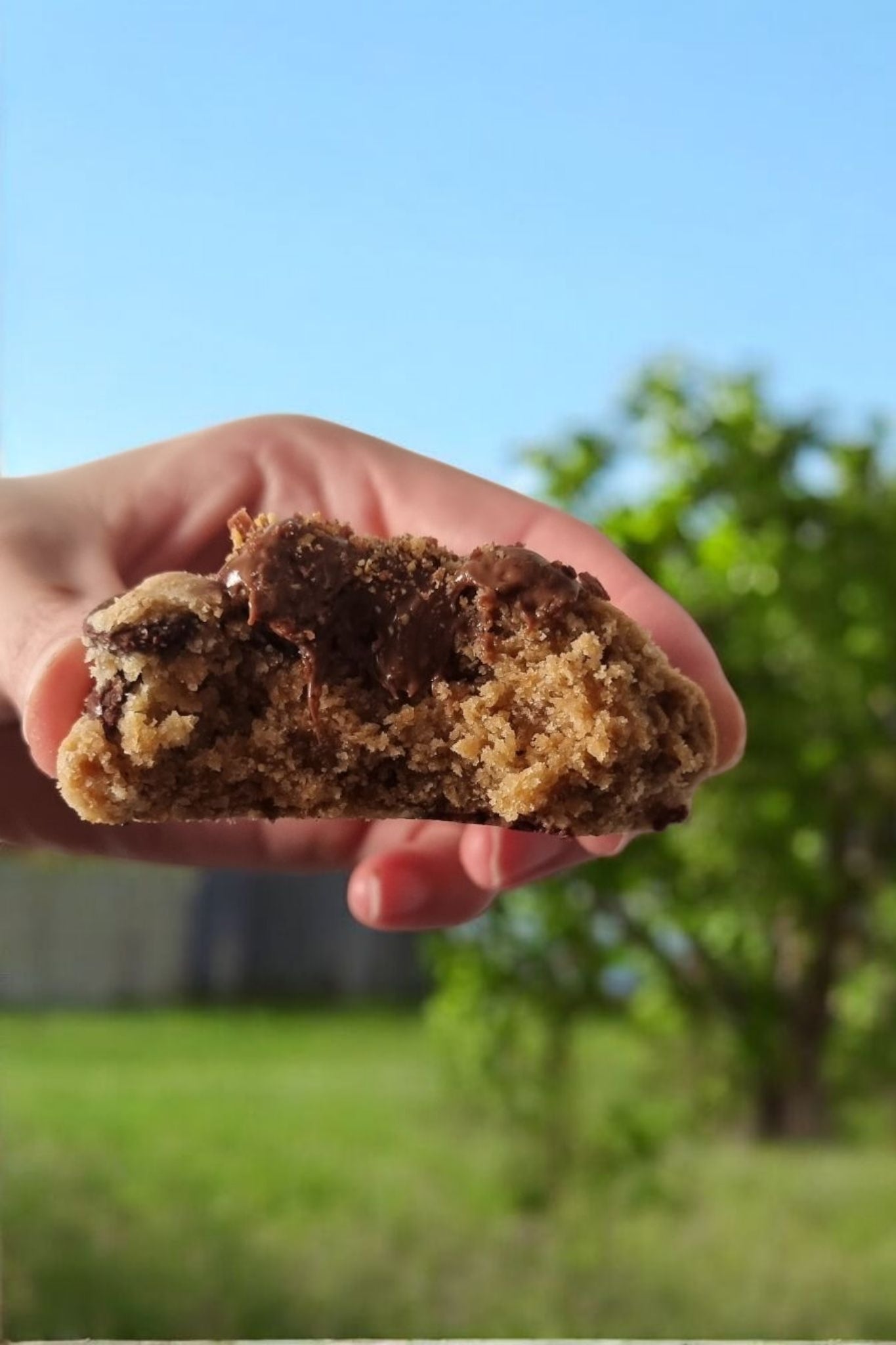 Box "Douce Folie" - 12 Cookies