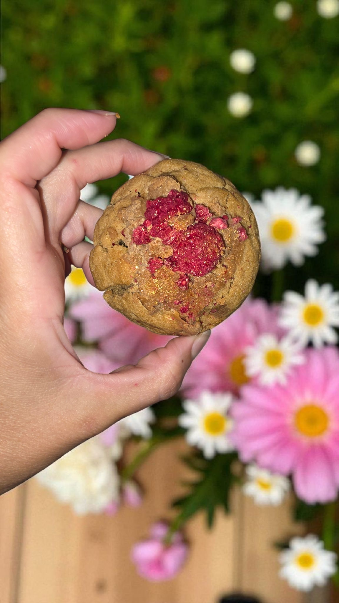 COOKIE à l'unité gamme Veganoukie's
